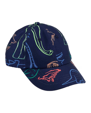 Boné infantil aba curva dinossauros abstratos azul | Carter's